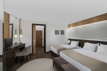 Papillon Belvil - 216