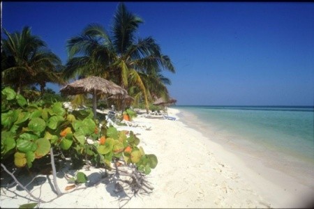 Nh Capri, Vigía - 6