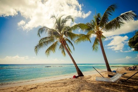 Sugar Bay Barbados - 14