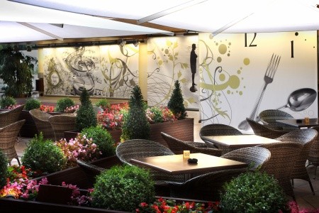 Alegria Florida - 20