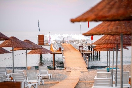 Dizalya Palm Garden - 9