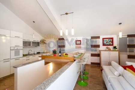 Vila Jasnić Dejan - 8