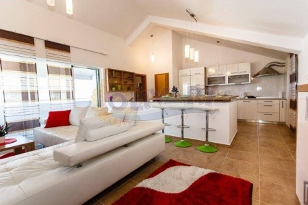 Vila Jasnić Dejan - 10