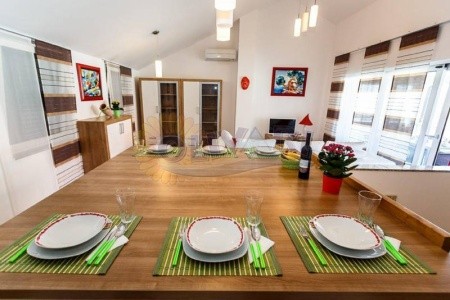 Vila Jasnić Dejan - 13