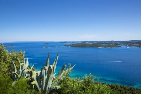 Aminess Vival Grand Azur Hotel - 9