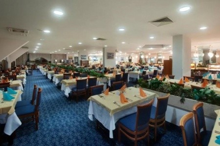 Vile Park Premium - 11