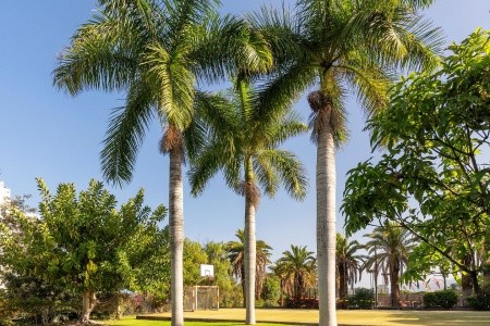 Precise Resort Tenerife (Ex. Maritim) - 47