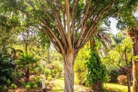 Precise Resort Tenerife (Ex. Maritim) - 59