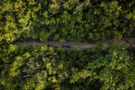 Pian Dei Mucini Toscana Resort - 122