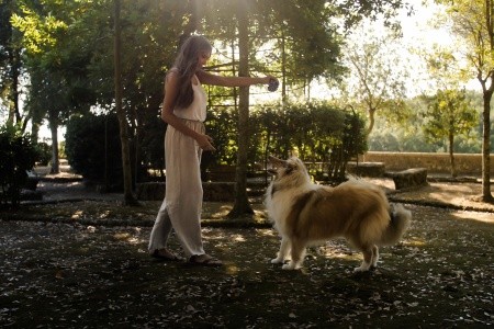 Pian Dei Mucini Toscana Resort - 124