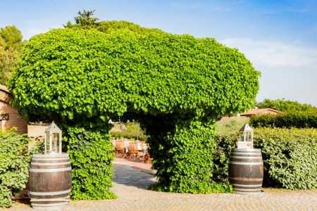 Pian Dei Mucini Toscana Resort - 173