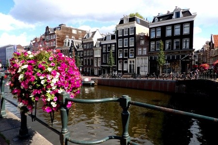 Benelux - květinové korzo - 2