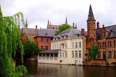 Benelux - květinové korzo - 4