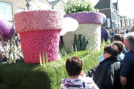 Benelux - květinové korzo - 16