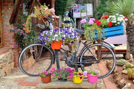 Campsite El-Bahira - 22