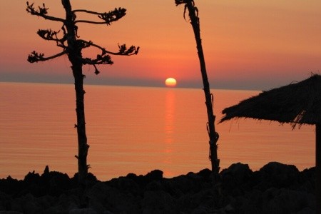 Campsite El-Bahira - 30