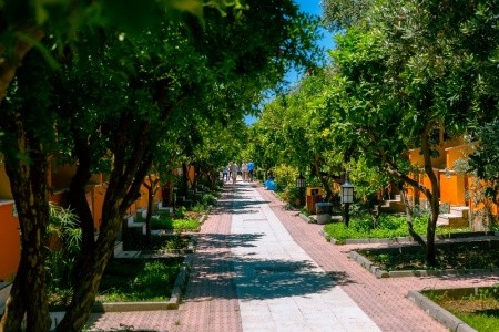 Özlem Garden - 3