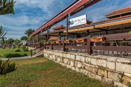 Özlem Garden - 11