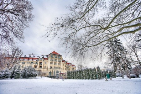 Ensana Esplanade Health Spa (Ex Danubius Health Spa Resort) - 63