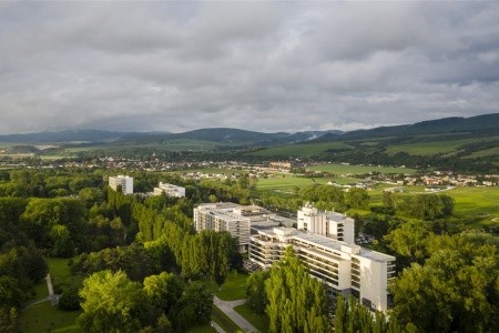 Ensana Esplanade Health Spa (Ex Danubius Health Spa Resort) - 12