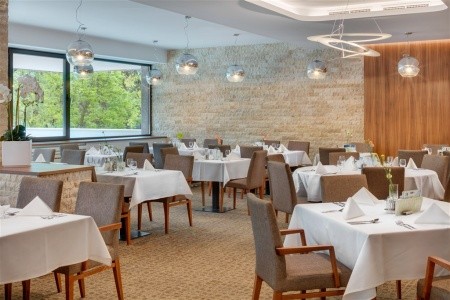 Ensana Esplanade Health Spa (Ex Danubius Health Spa Resort) - 21