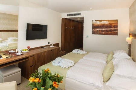 Ensana Esplanade Health Spa (Ex Danubius Health Spa Resort) - 29