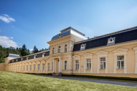 Centrální Lázně Ensana Health Spa Hotel - 13