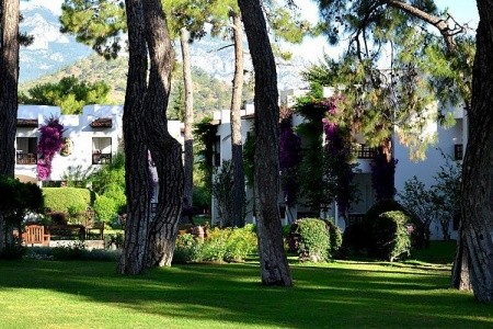 Emelda Sun Club - 11