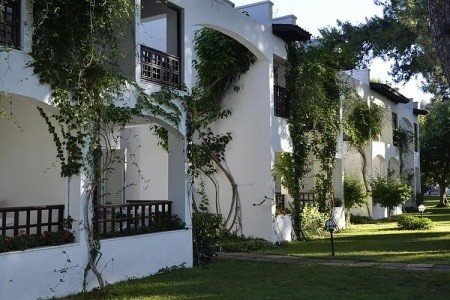 Emelda Sun Club - 19