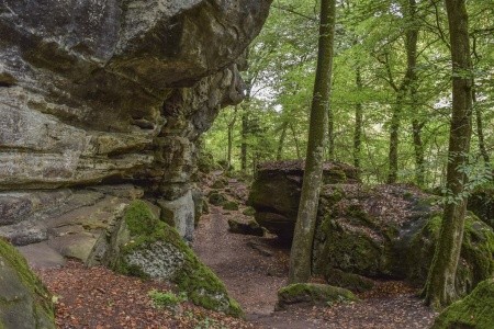 Belgie a Lucembursko s květinovým kobercem - 12