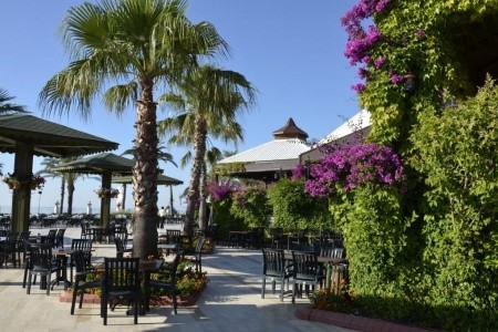 Emelda Sun Club - 20