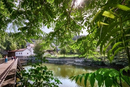 Jama (Postojna) - 14