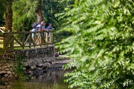 Jama (Postojna) - 34