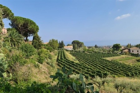 SICÍLIE – VELKÝ OKRUH nejen pro milovníky vína a dobrého jídla - 42