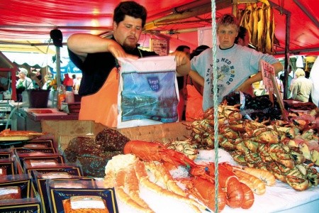 Norsko - velký okruh - 40