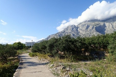 Pavilon Dukić-B
