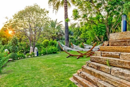 Side Star Elegance (Ex. Asteria Side) - 180