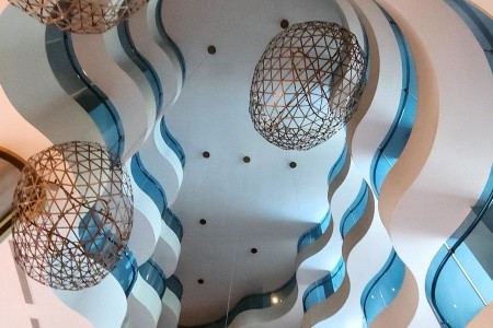 Maxeria Blue Didyma - 51