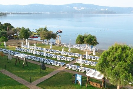 Maxeria Blue Didyma - 52