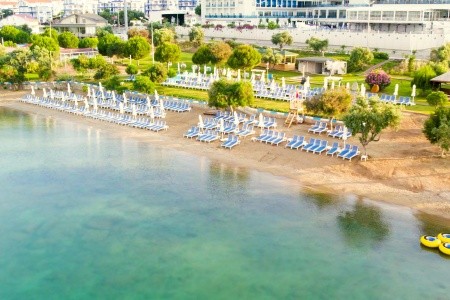 Maxeria Blue Didyma - 53