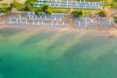 Maxeria Blue Didyma - 54