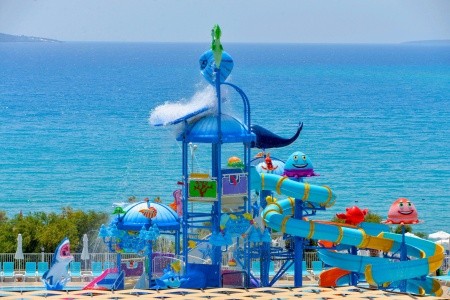 Maxeria Blue Didyma - 62