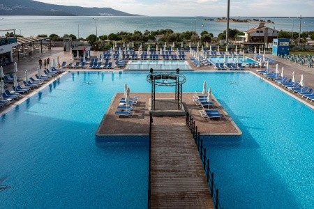 Maxeria Blue Didyma - 63