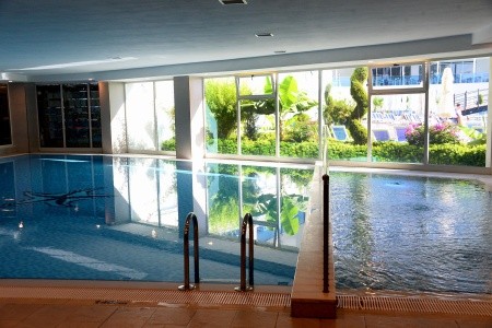 Maxeria Blue Didyma - 66