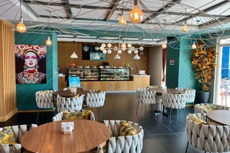 Maxeria Blue Didyma - 80