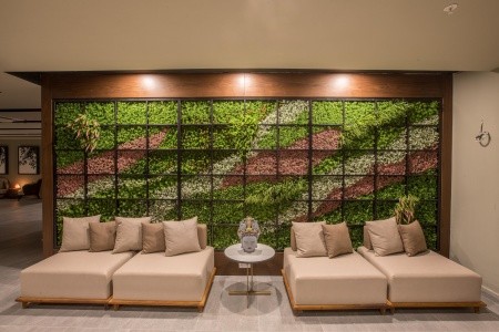 Maxeria Blue Didyma - 89