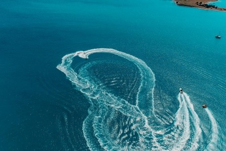 Maxeria Blue Didyma - 102