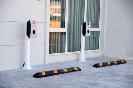 Maxeria Blue Didyma - 108