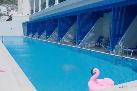 Maxeria Blue Didyma - 152