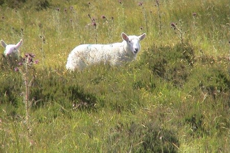 Irsko - smaragdový ostrov - letecky - 12